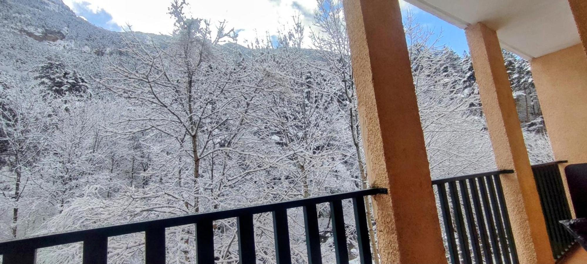 Carlina * Canfranc